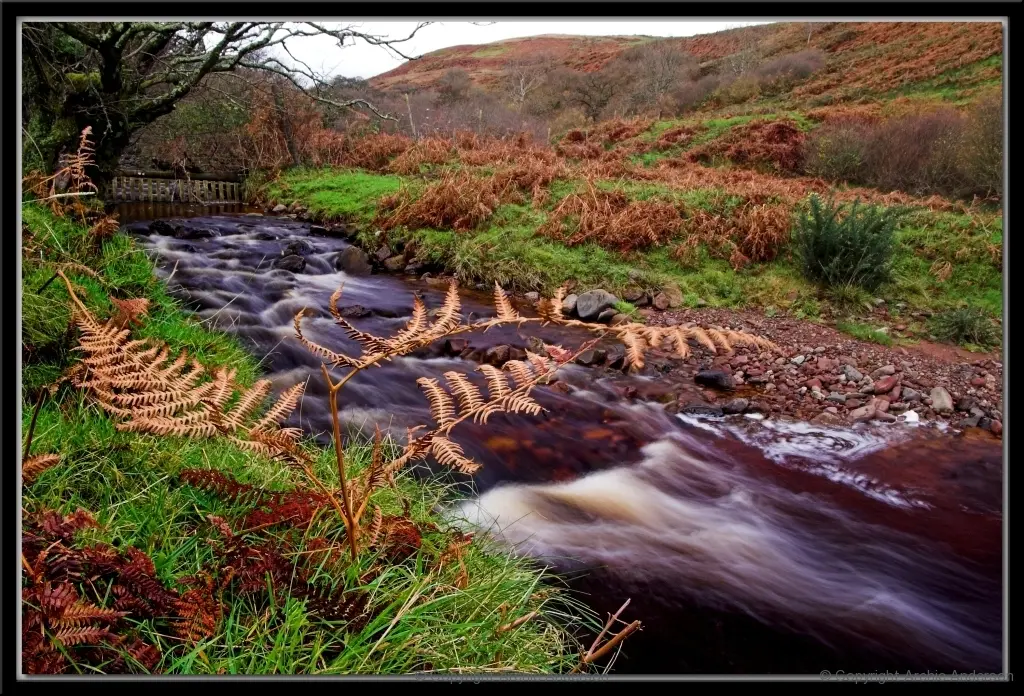 River