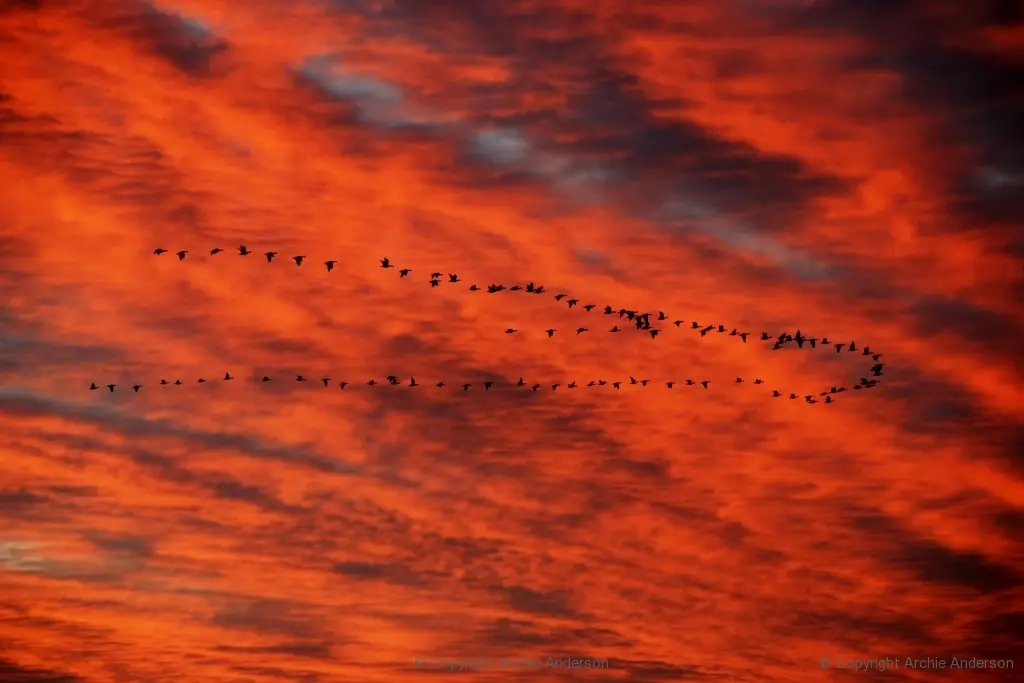 Sky on fire
