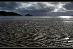 Bay