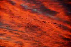 Sky on fire