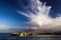 Carradale-Harbour, April
